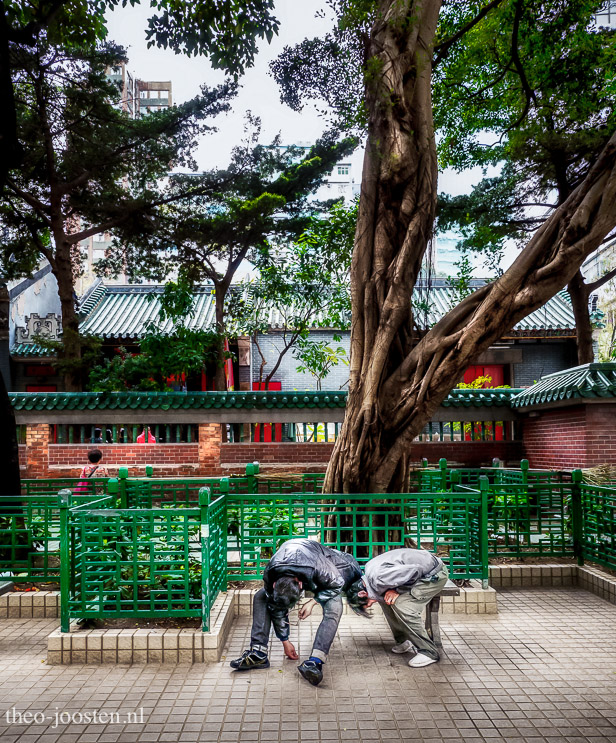 Kowloon park 
