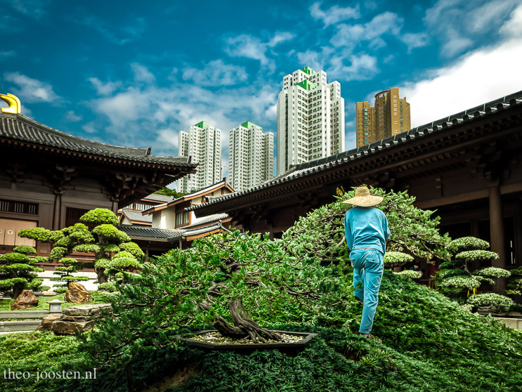 Kowloon  Chi Lin Nunnery 2019